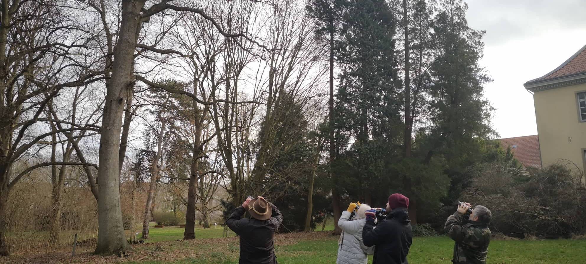 Stunde der Gartenvögel