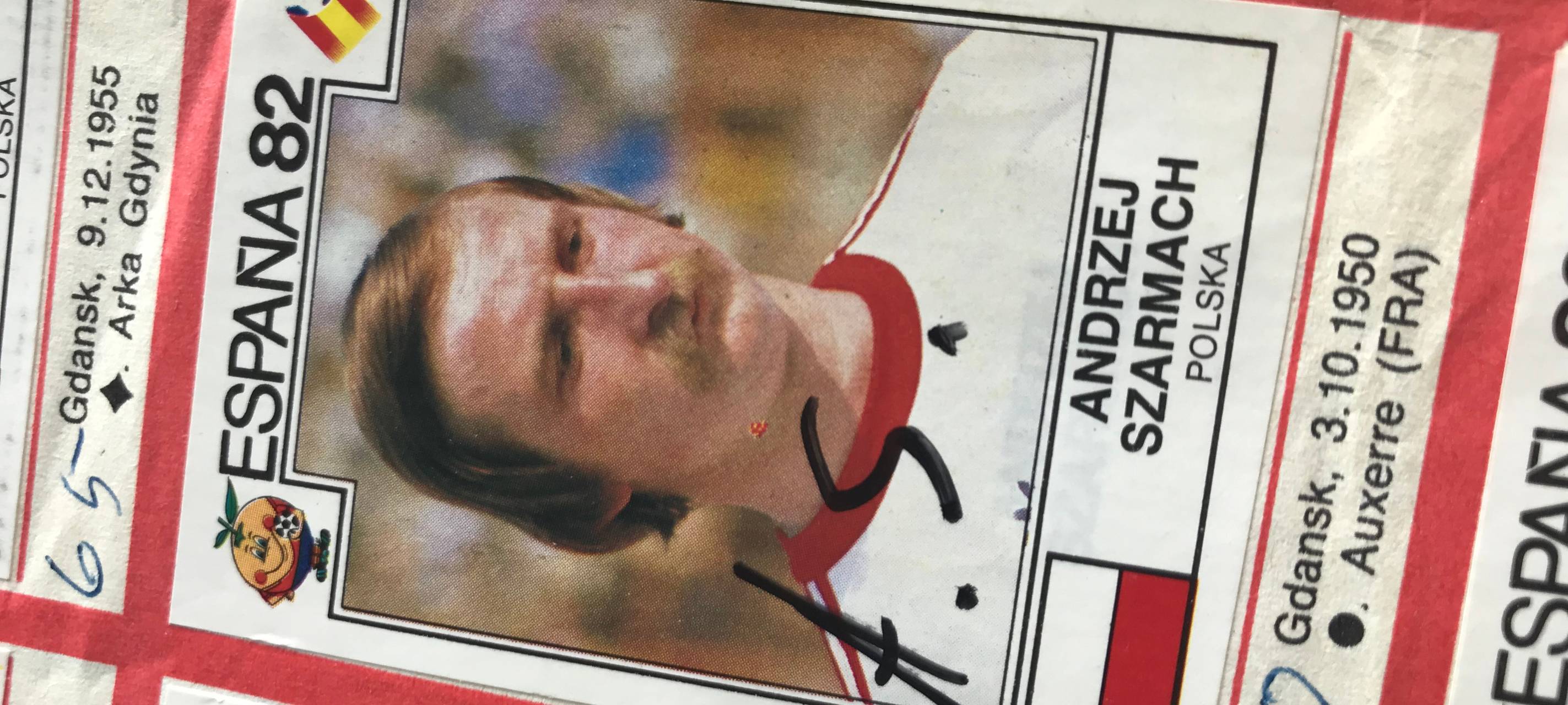 Das Ma Panini Sammelalbum