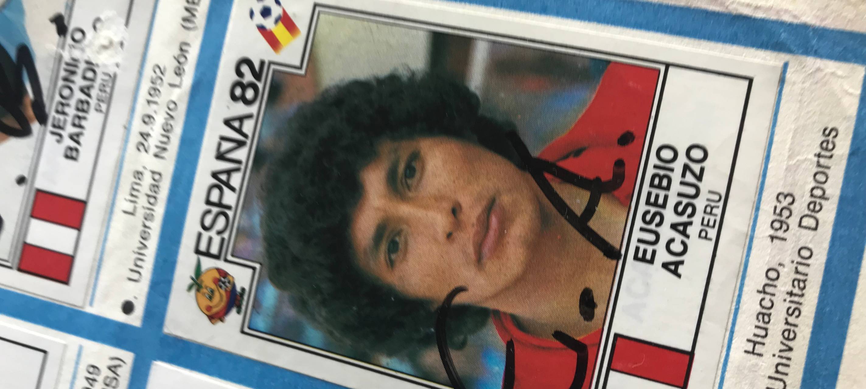 Das Ma Panini Sammelalbum