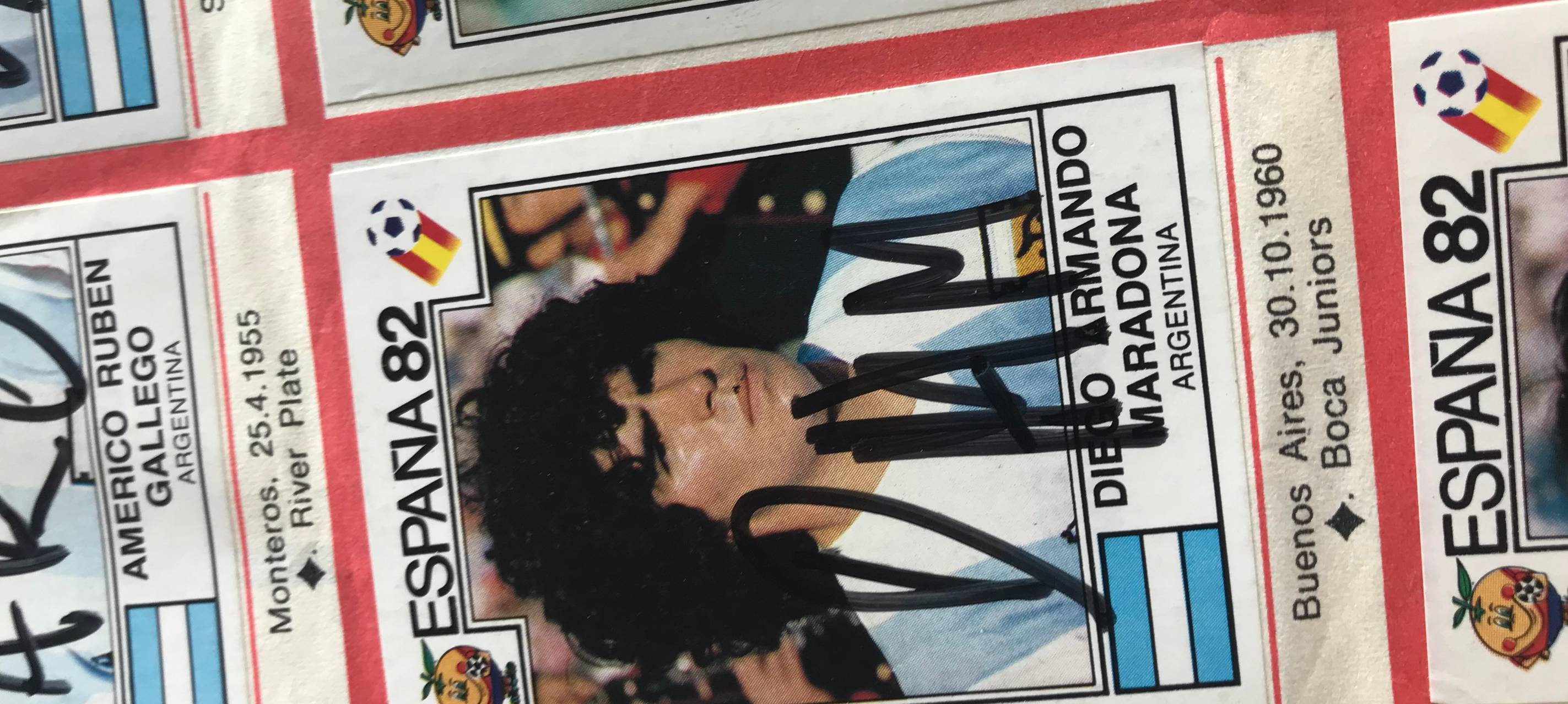 Das Ma Panini Sammelalbum