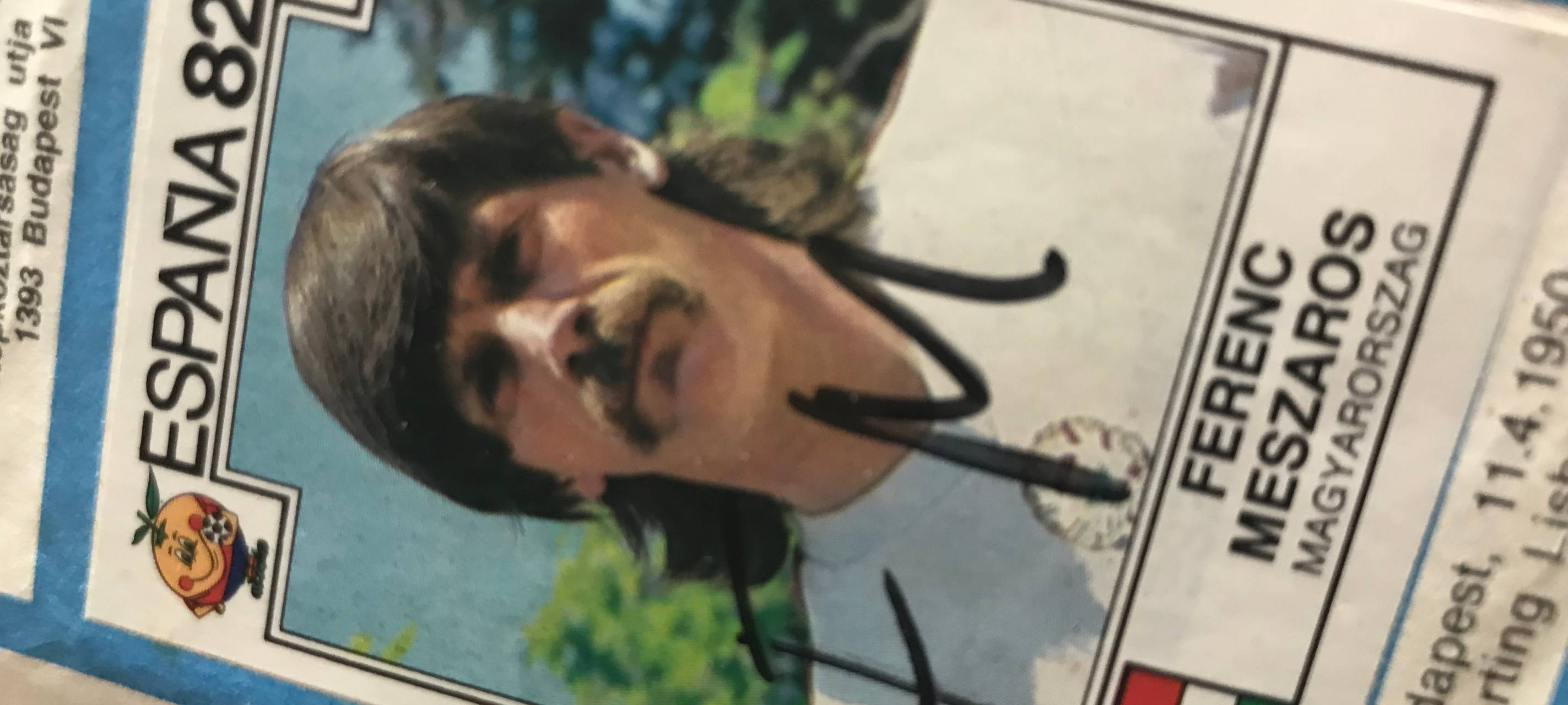 Das Ma Panini Sammelalbum