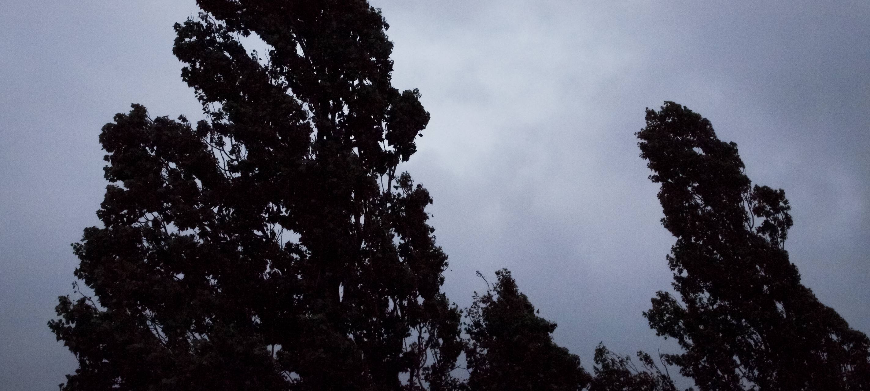 Klima: Warum es eine Hagelkonferenz gibt