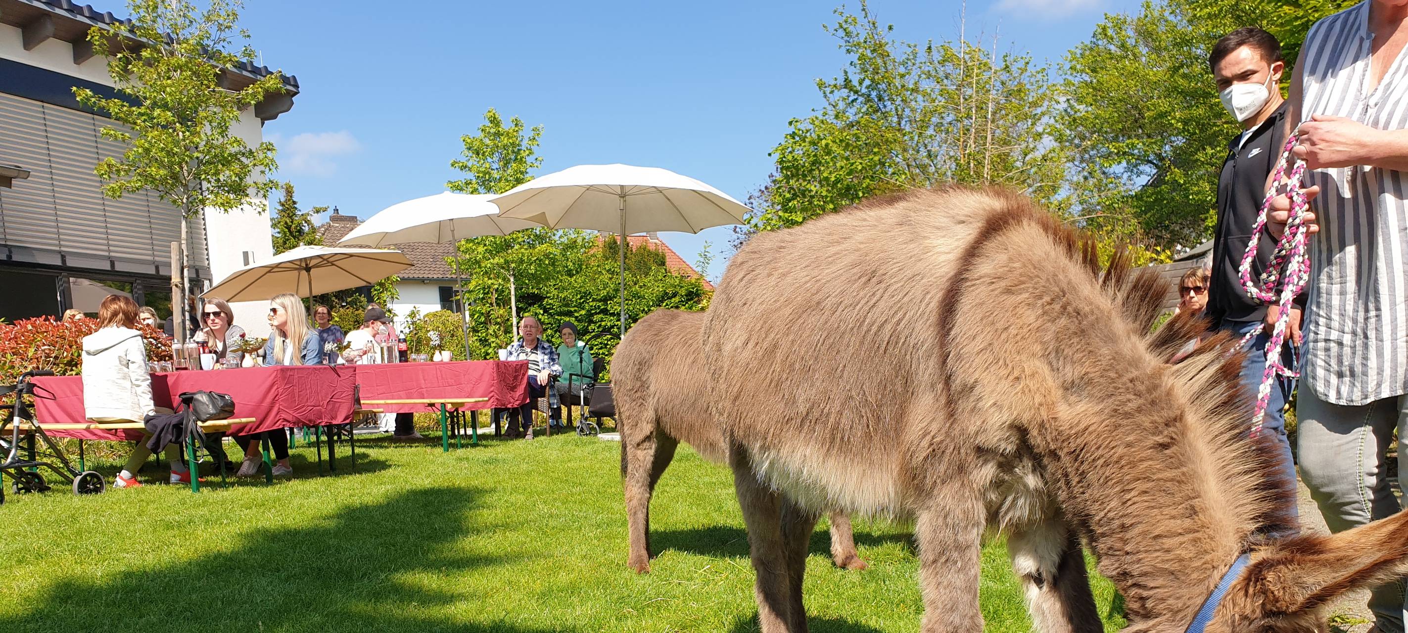 Besonderer Besuch im Hospiz