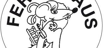 Comeback der Ferienmaus