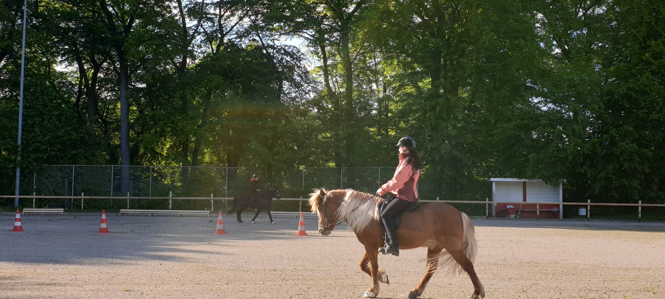 Ein Leben mit Islandpferden