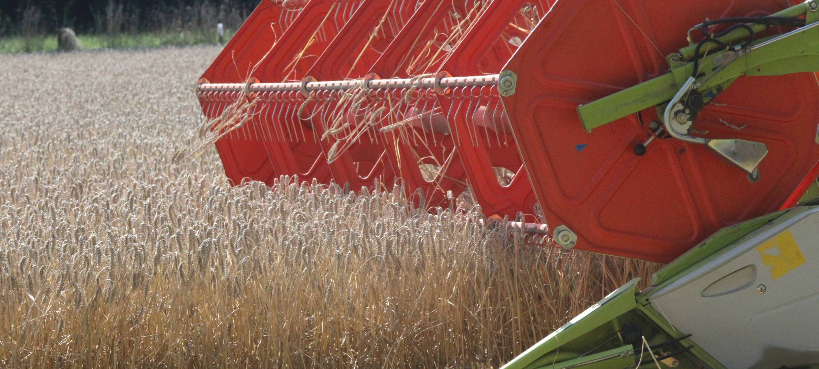 Die Bauern und das Wetter