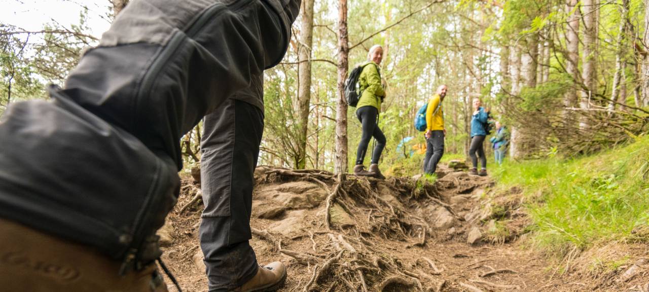 Wikinger Wandermarathon: 35000