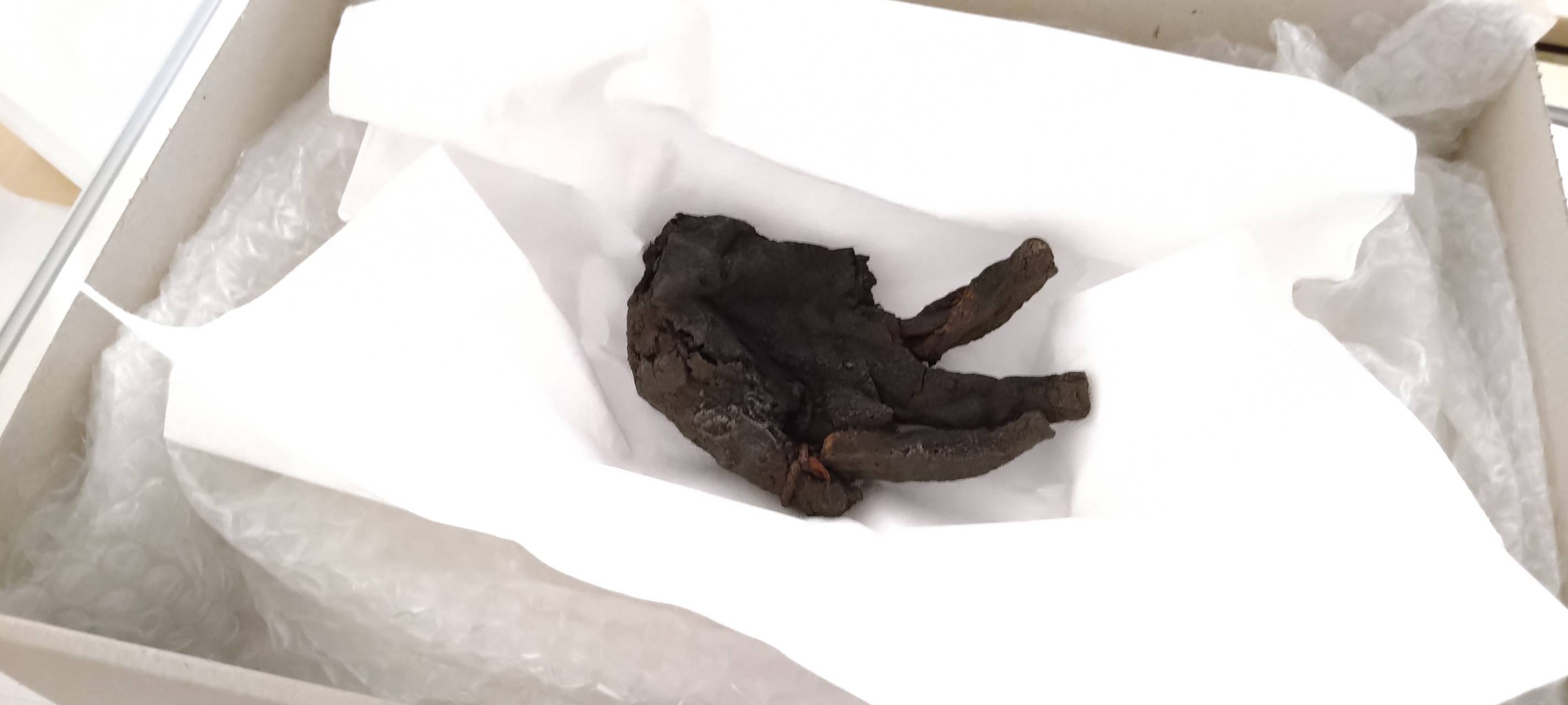 Schwarze Hand zieht um