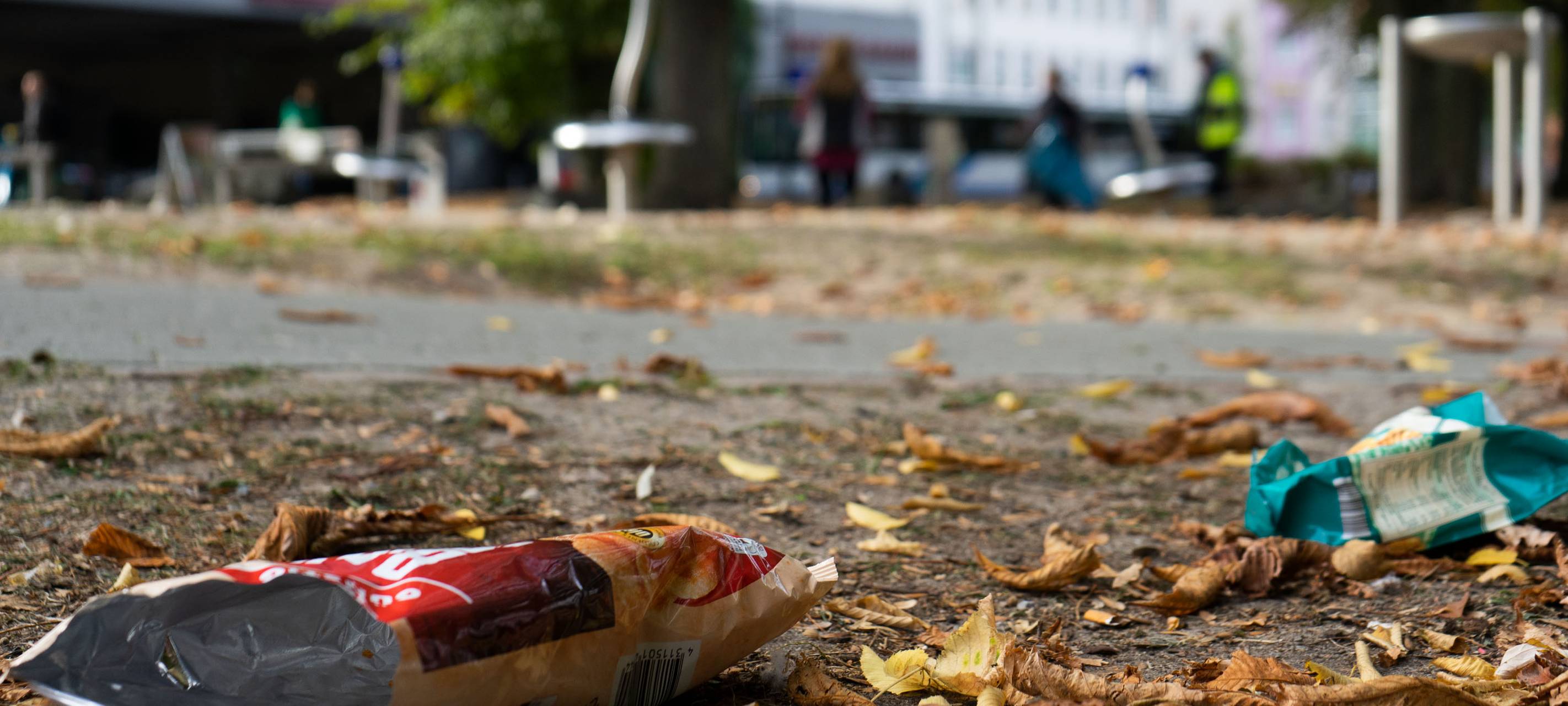 private Müllsammel-Aktion