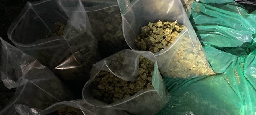 Großrazzia in der Drogenszene