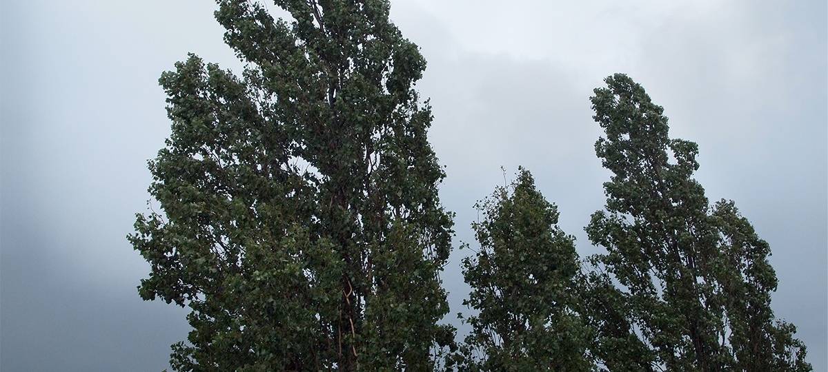 Wetter und die Folgen