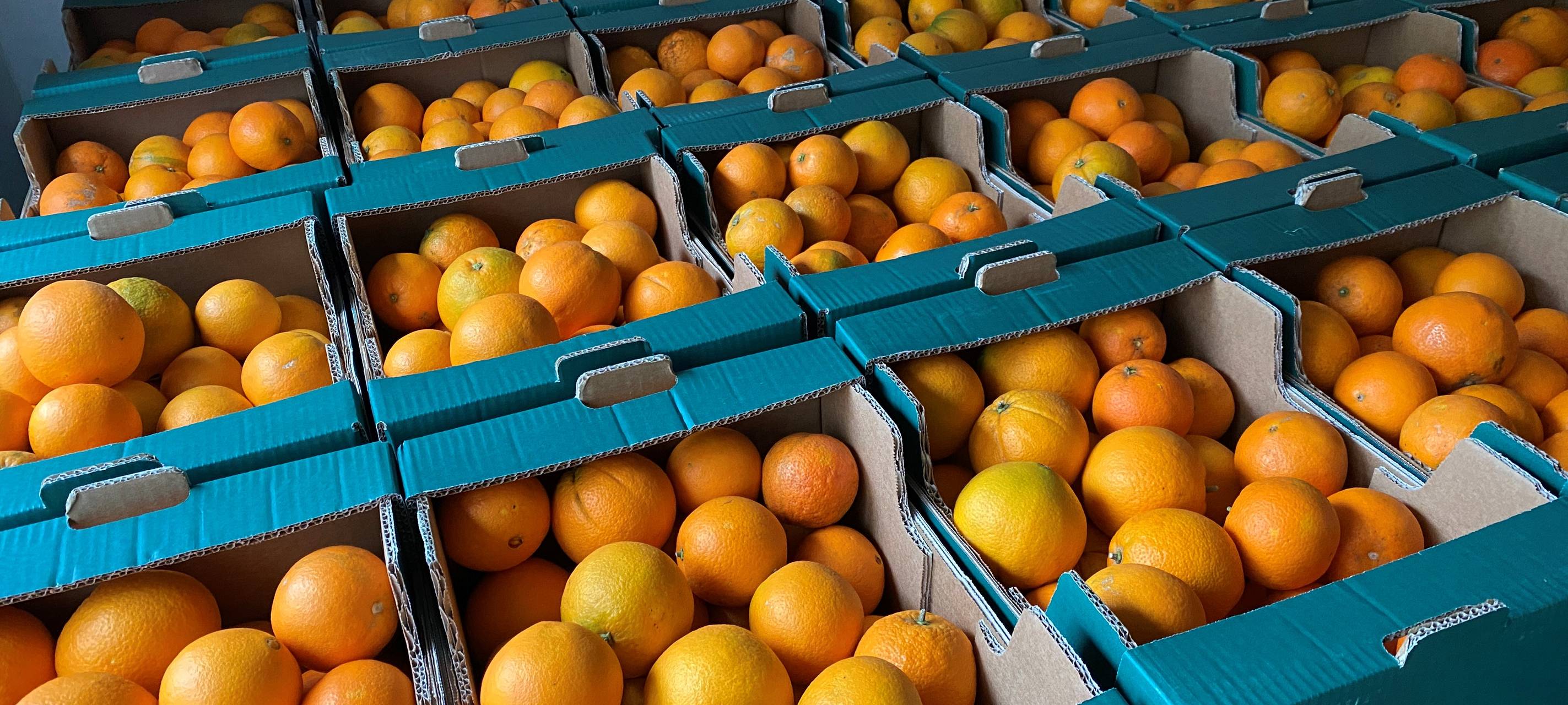 Faire Orangen im Allerwelthaus