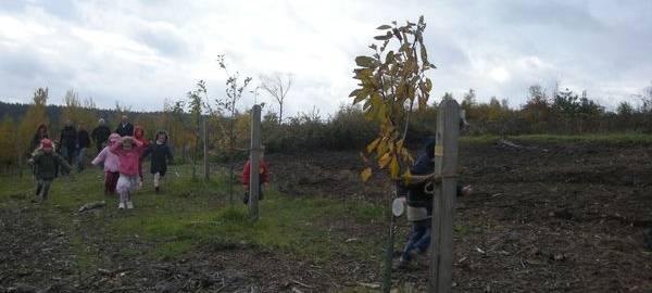 Neuer Babywald in Haspe