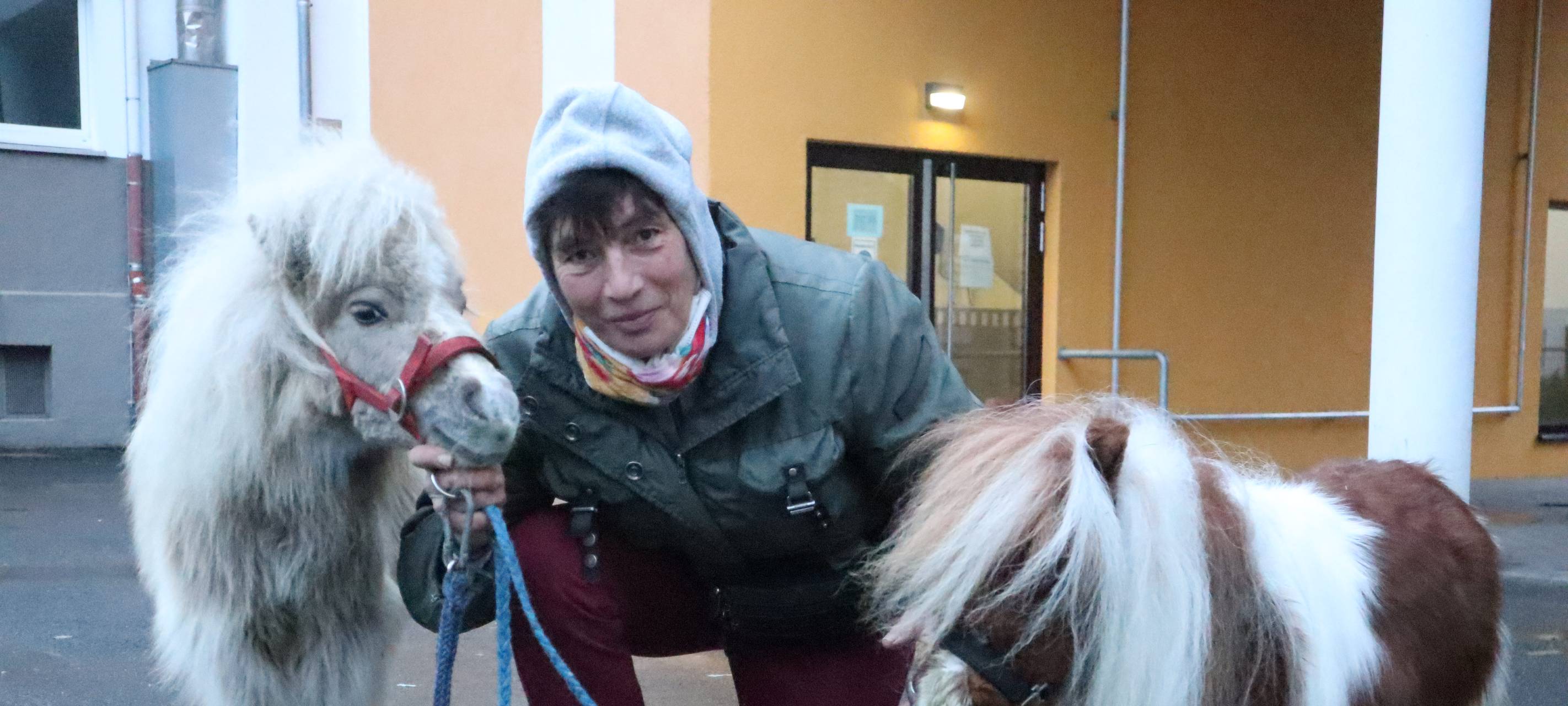 Miniponys am Fichte Gymnasium