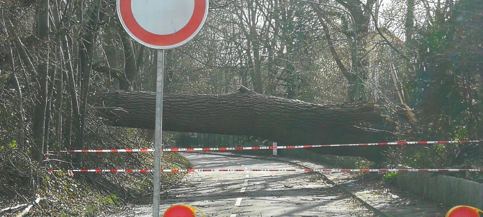 DWD: Neue Orkanböen in Hagen möglich