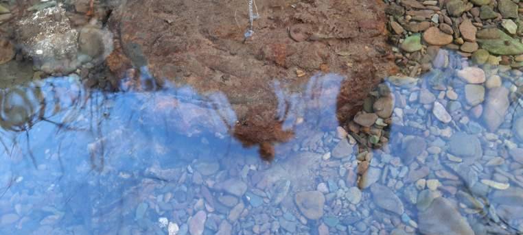 Es sah aus wie eine Tellermine