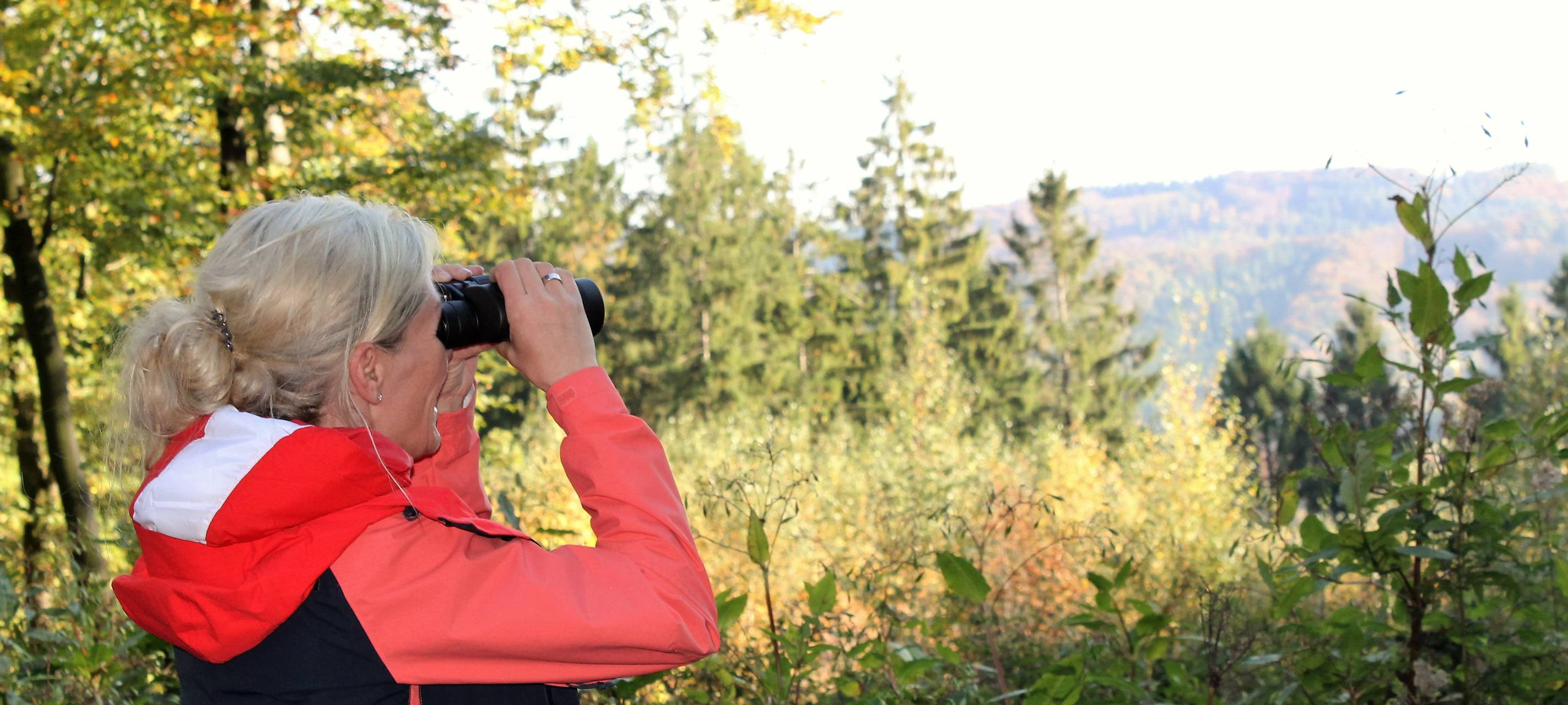 Wandern und was lernen