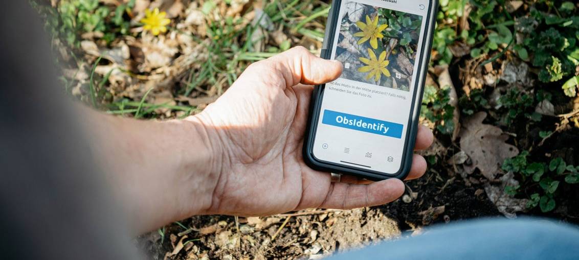 Tiere und Pflanzen bestimmen mit der biologischen Station Hagen