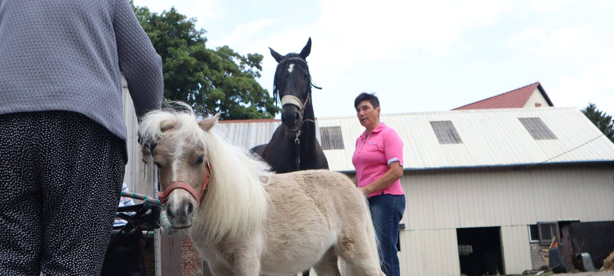 Besuch bei Minipony Pumuckl