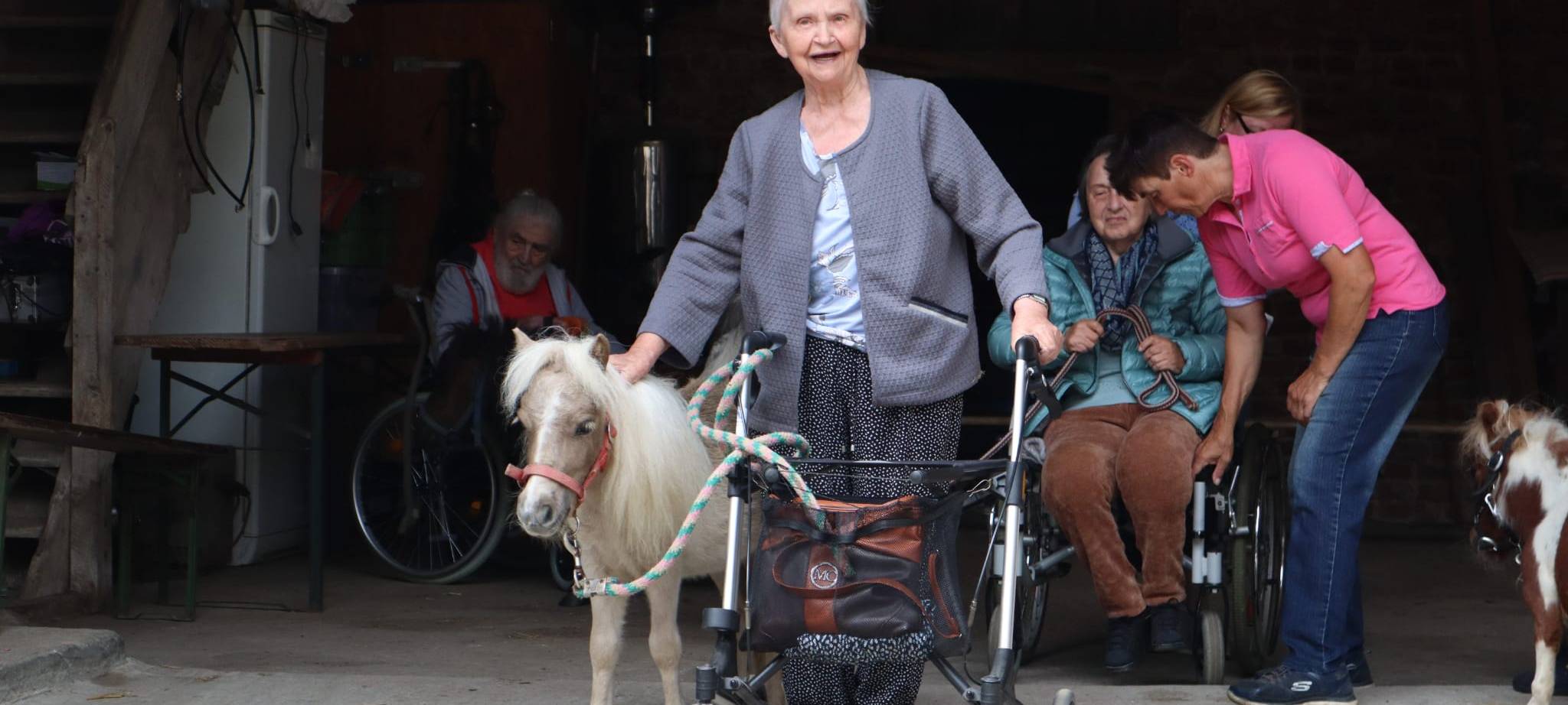 Besuch bei Minipony Pumuckl
