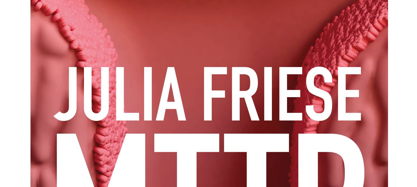 Julia Frieses erstes Buch MTTR