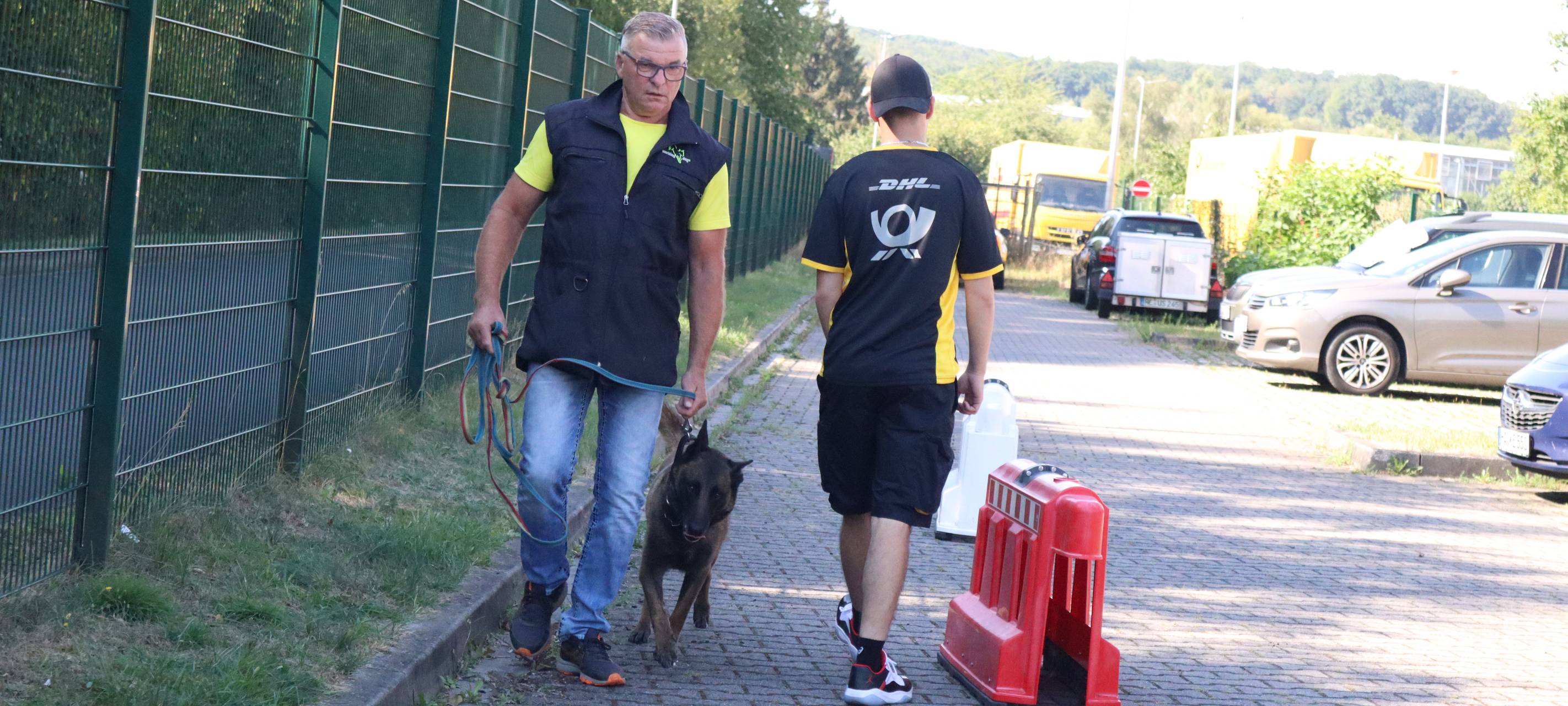 Schulung im Umgang mit Hunden
