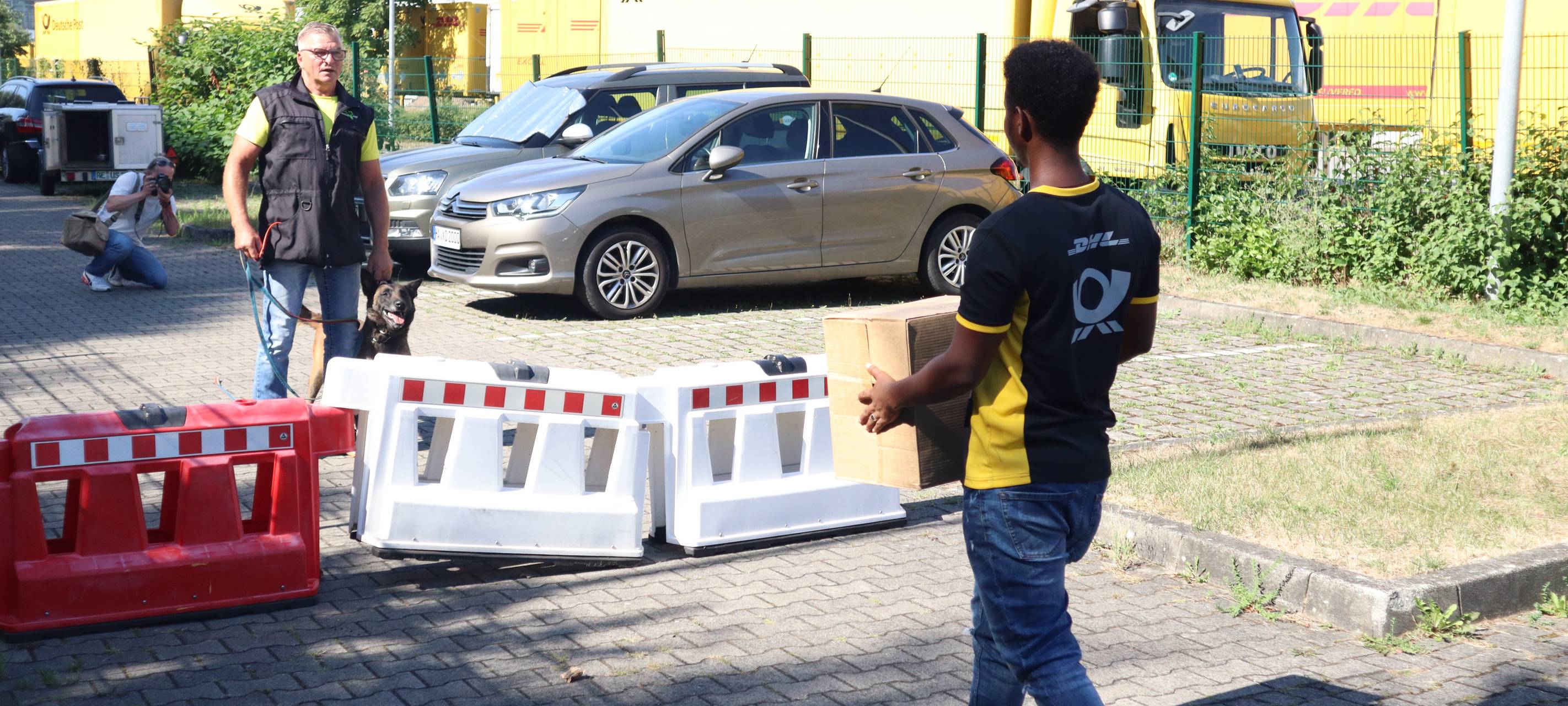 Schulung im Umgang mit Hunden