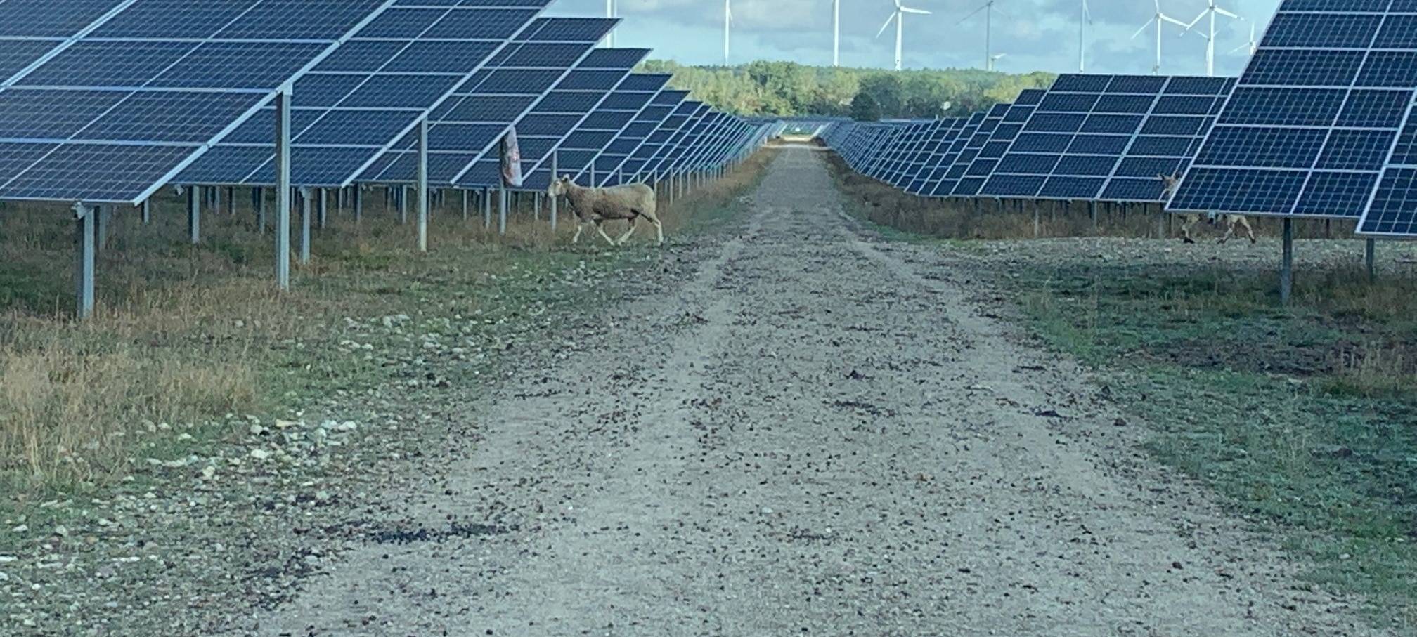 "Zukunft Energie" - Solarpark Werneuchen
