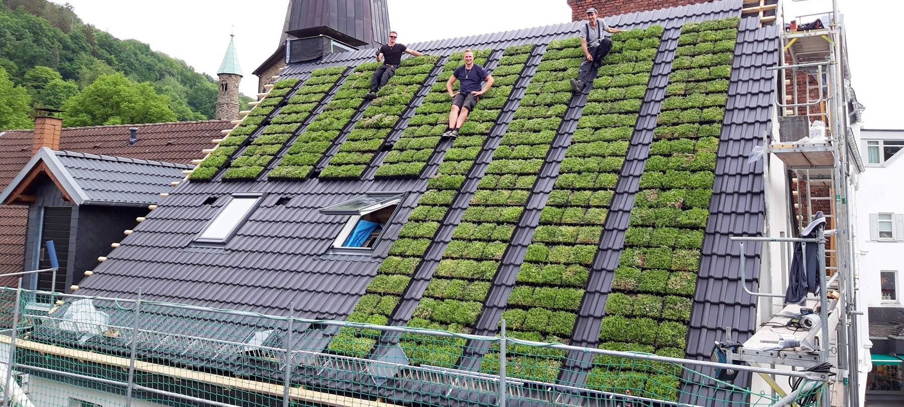 Für besseres Klima und Artenvielfalt: So funktioniert die Dachbegrünung