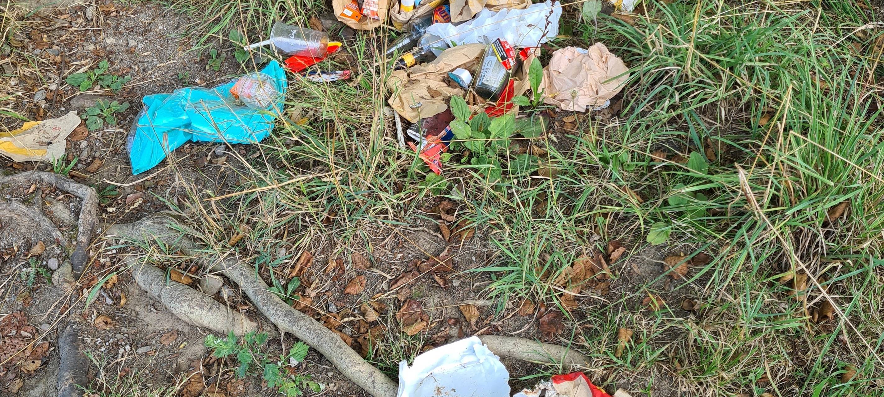 World Cleanup Day in Hagen