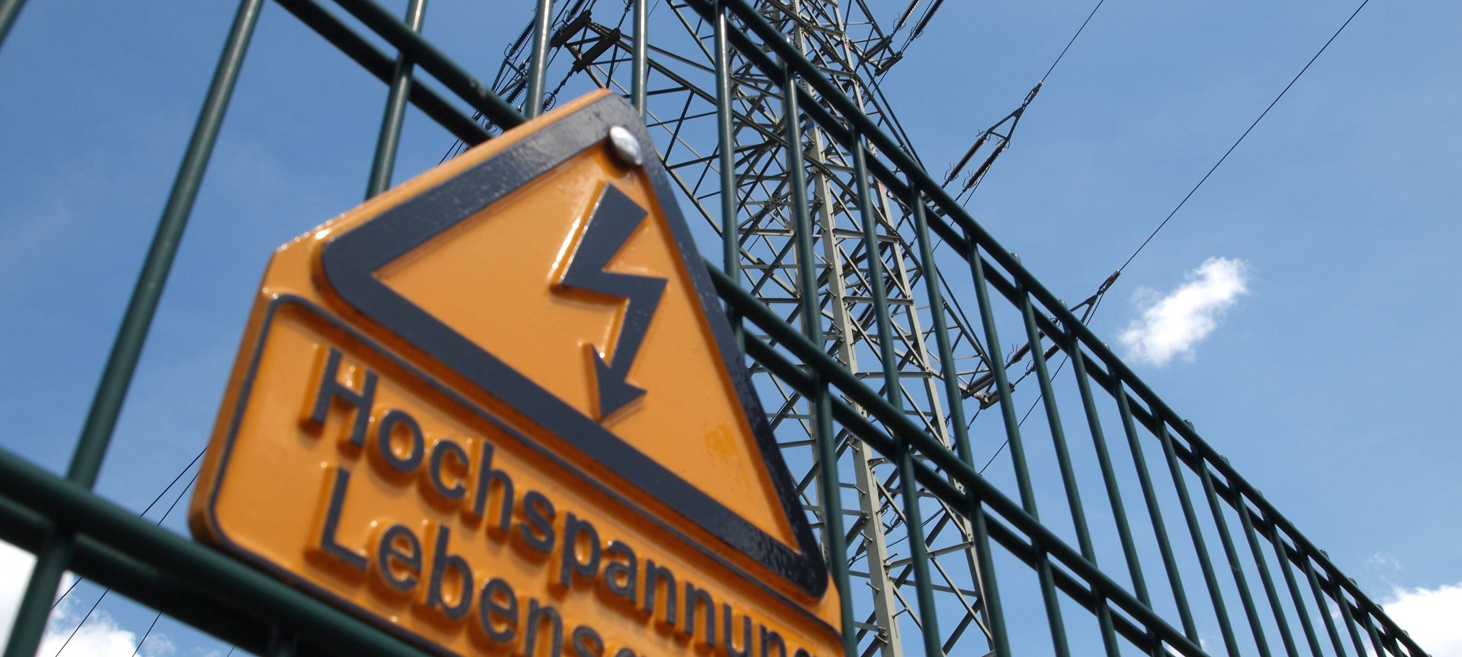 Holzeinschlag in Oege