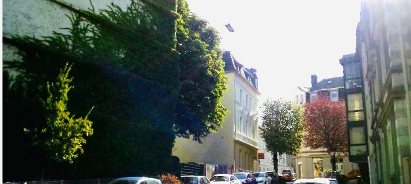 Bachstraße: Kastanie fehlt