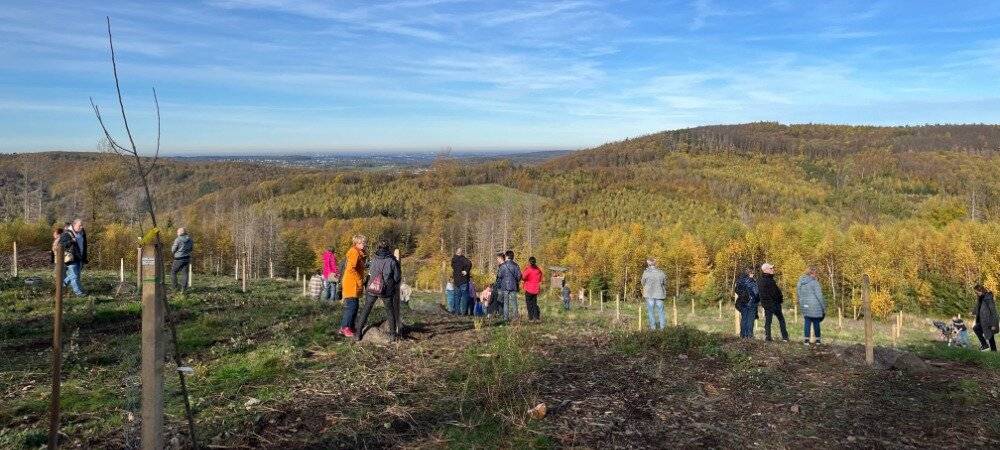 17. Pflanzaktion Babywald