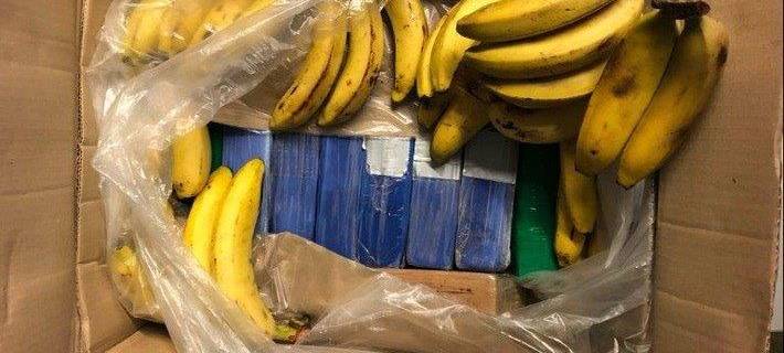 14 Kilo Kokain in Bananenkarton
