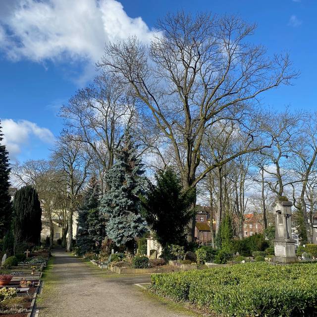 Buschey-Friedhof in Wehringhausen mit Bäumen, schönen Wegen und Gräbern.
