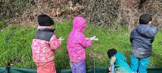 Rettung der Amphibien