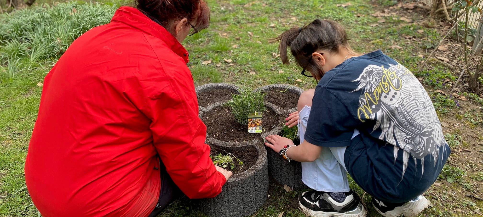 Grüne Oase in Eckesey