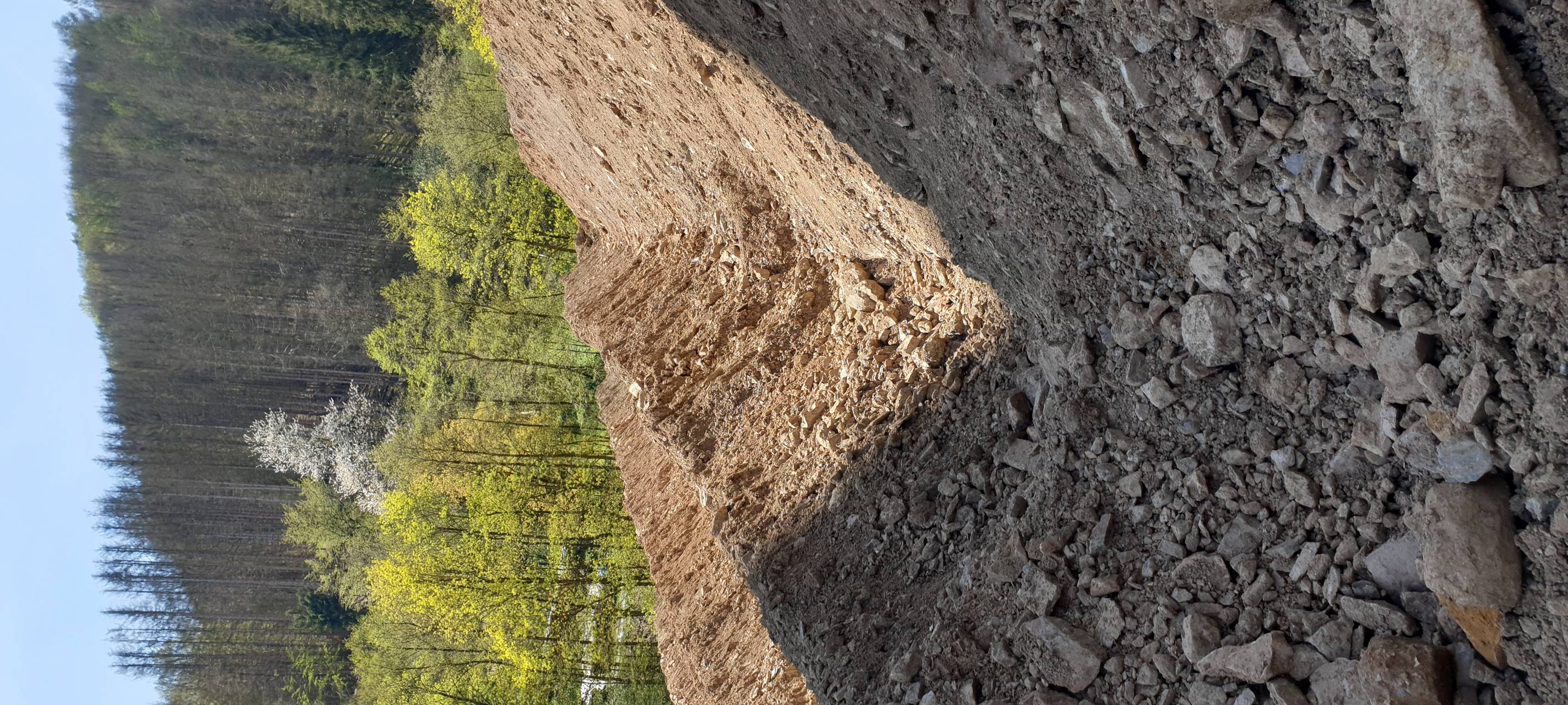 Die komplette Spreng-Ladung hier bei uns