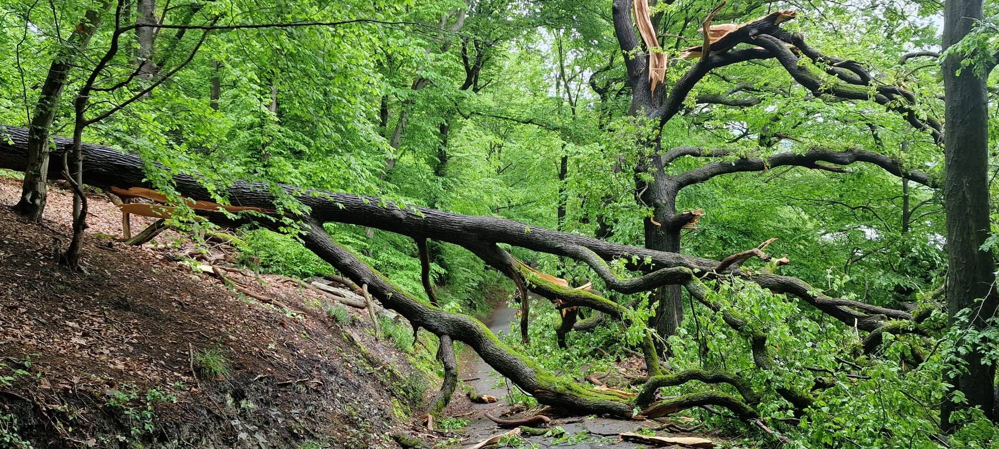 Seeweg am Hengsteysee gesperrt