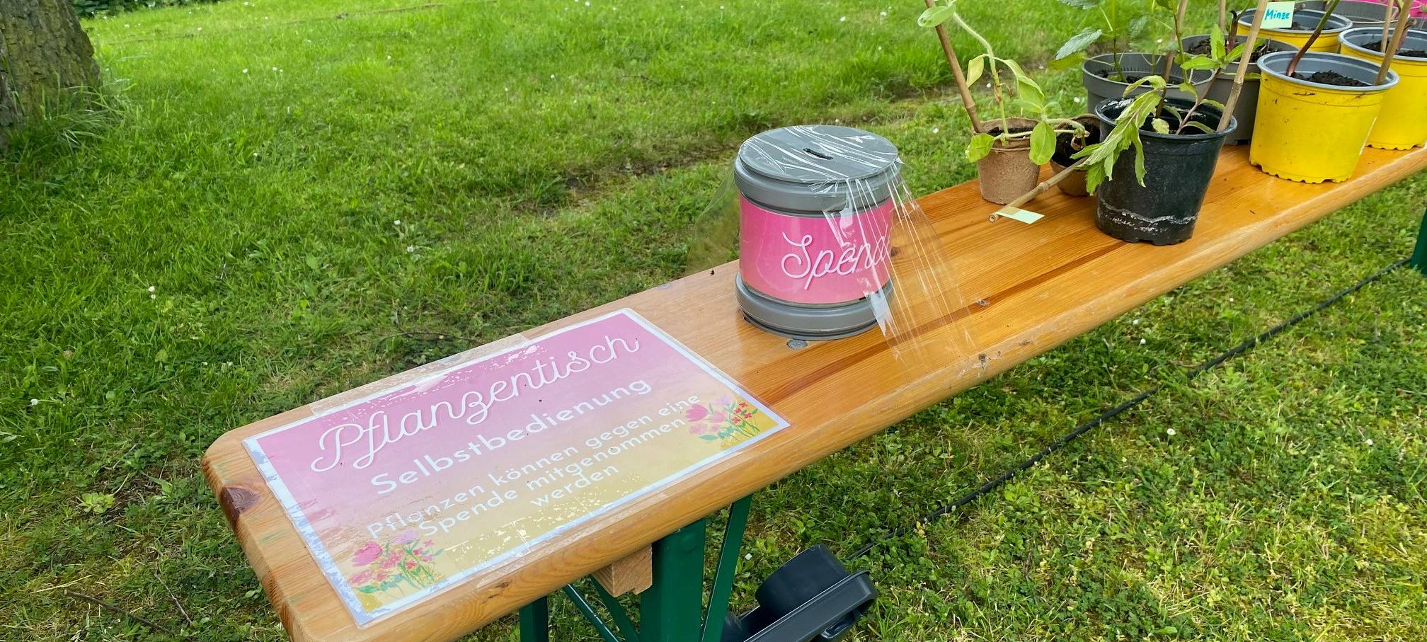 Kleingärtner in Hagen