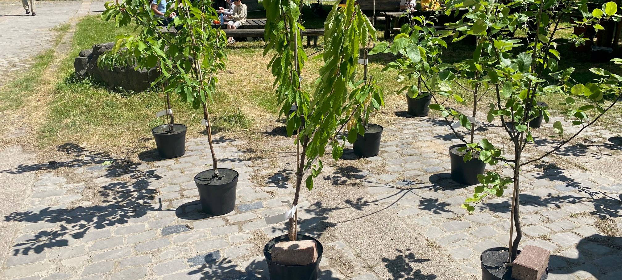 Tag der Artenvielfalt