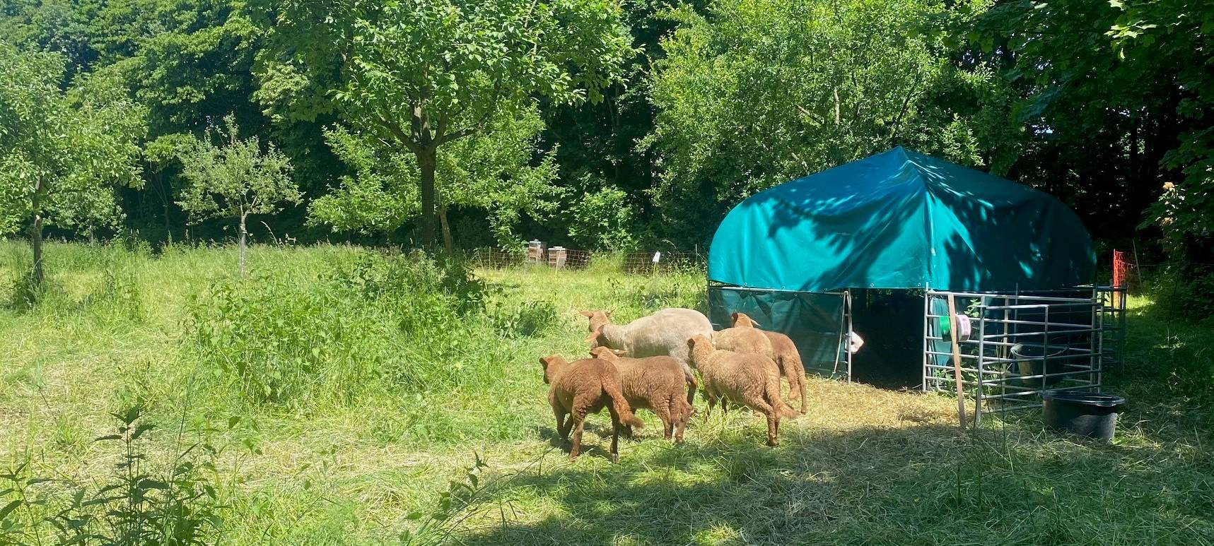 Tag der Artenvielfalt