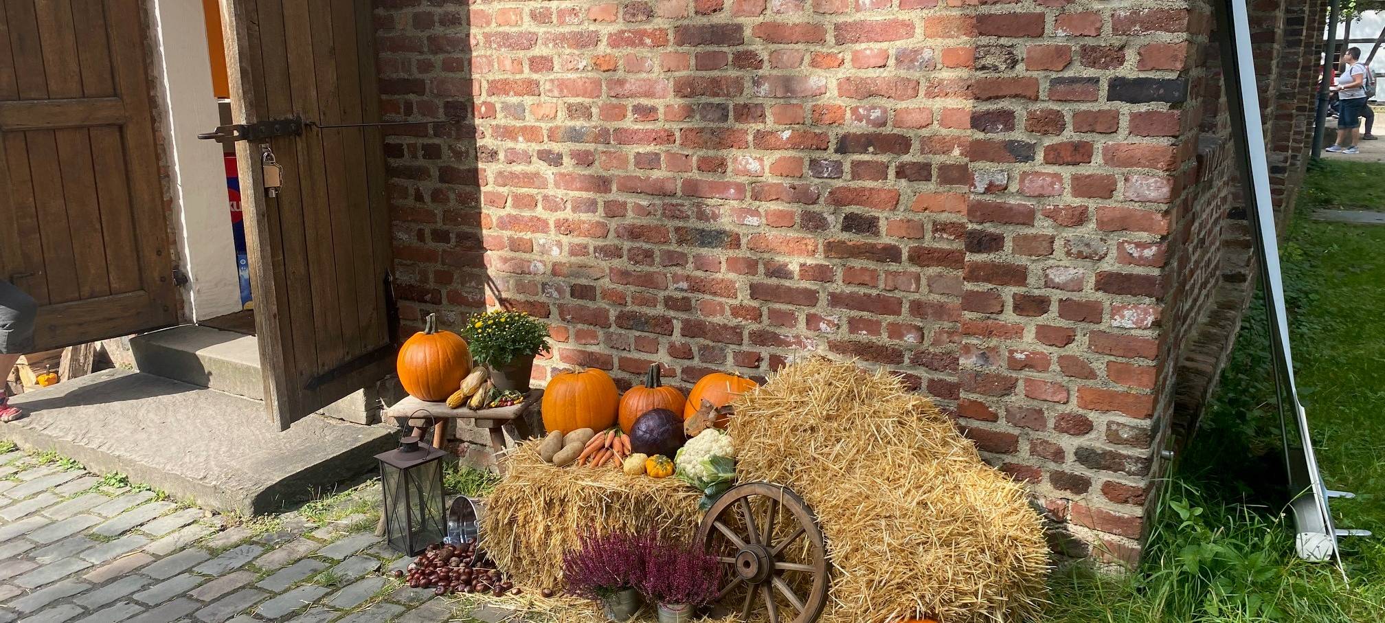 Der Herbst ist da...