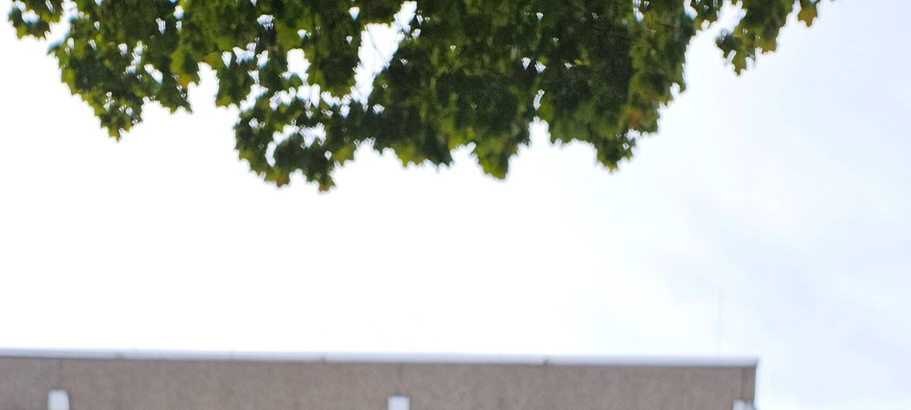 Emil Aktion 2023 - Emils dritter Tag