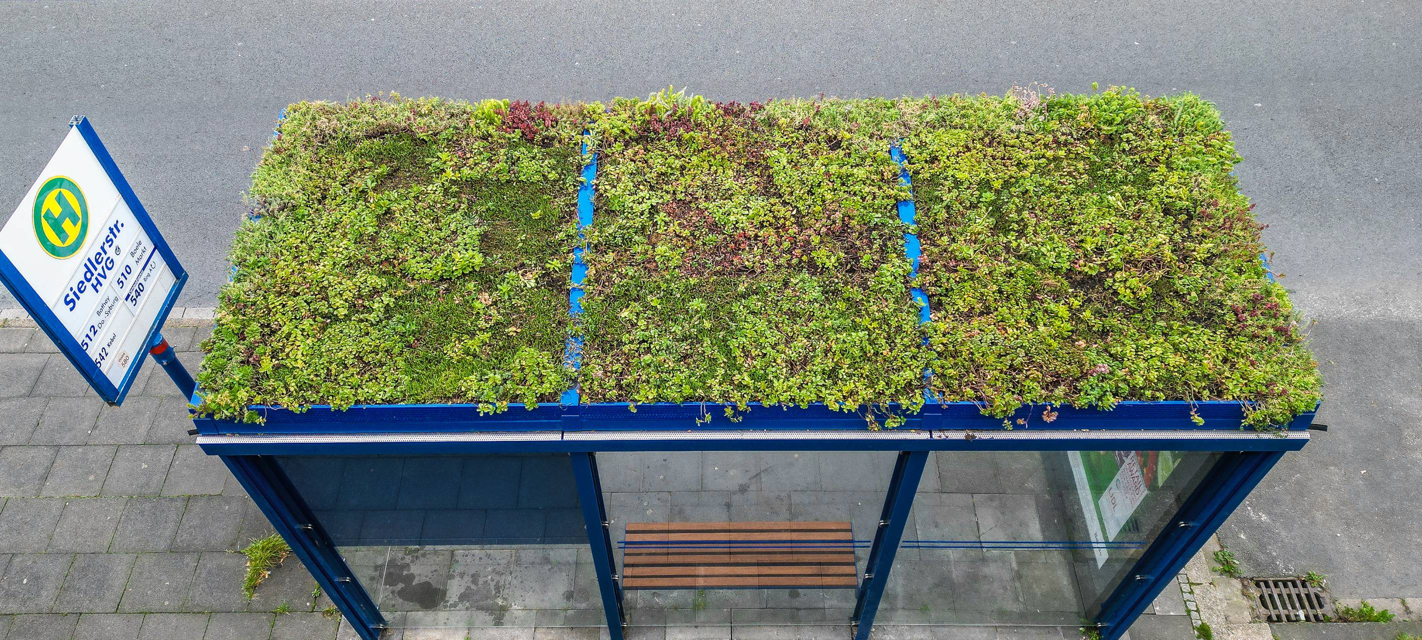 Grünes Dach für Haltestelle
