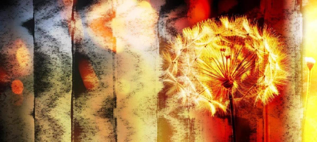 Rea Garvey - Perfect In My Eyes