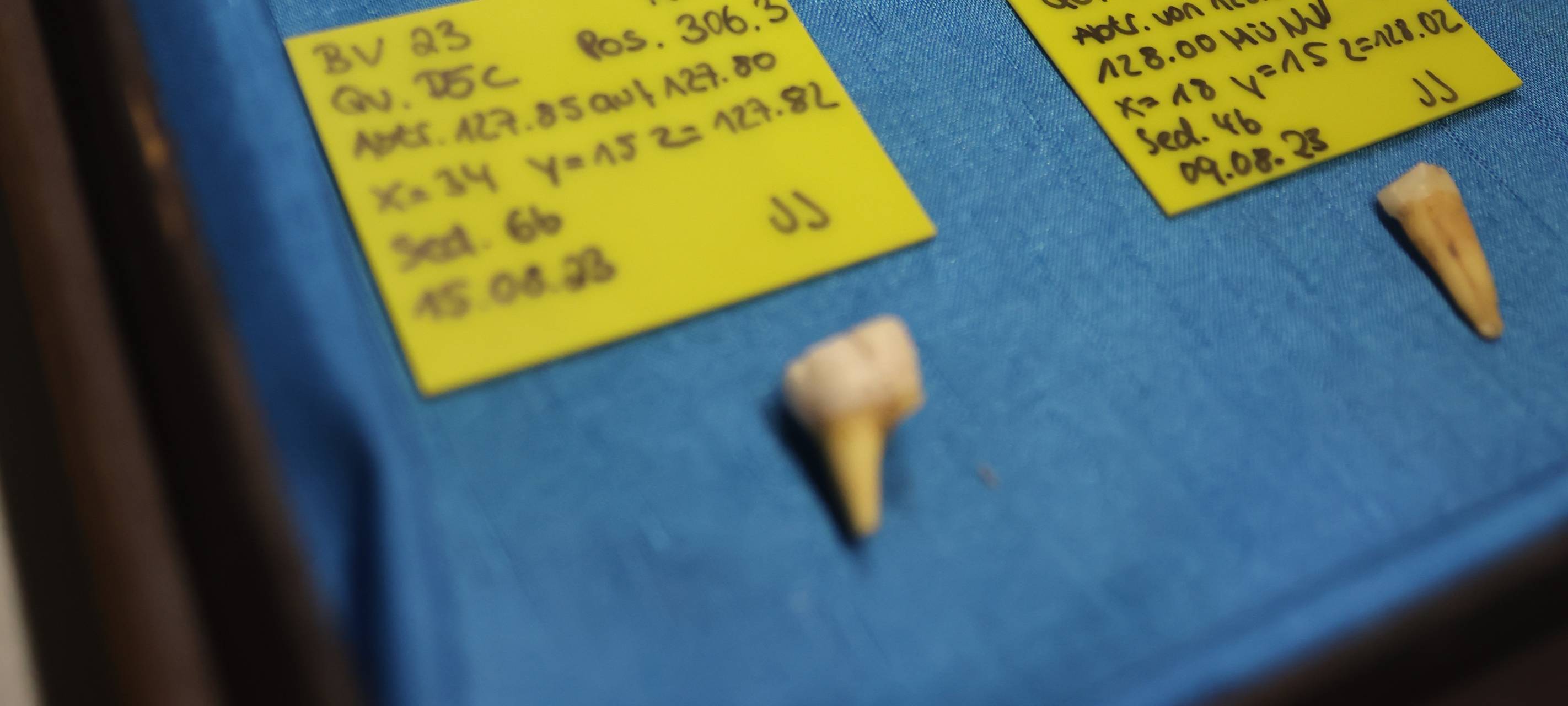 Neue Funde aus der Blätterhöhle zeigen Ende der Eiszeit vor 12.000 Jahren