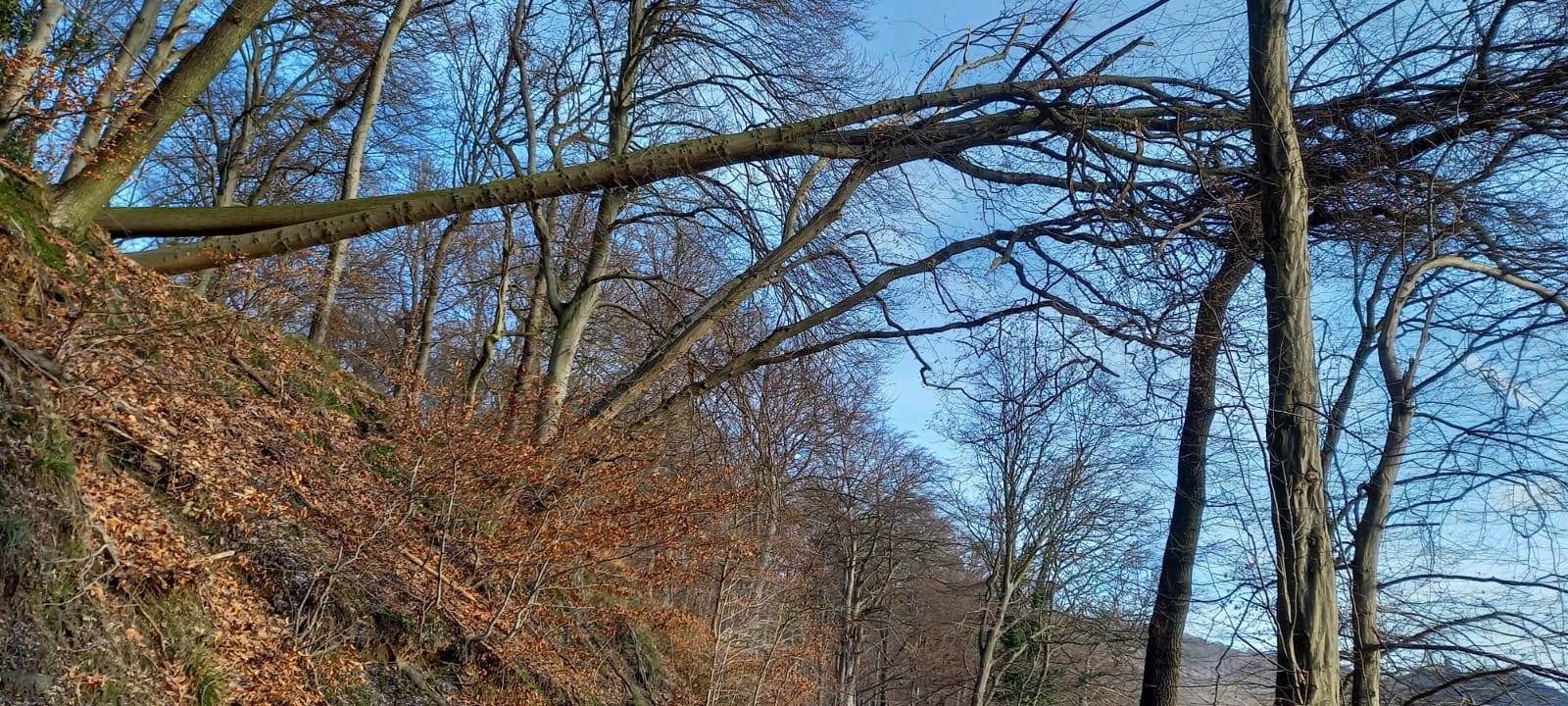 Keine Runde um den See