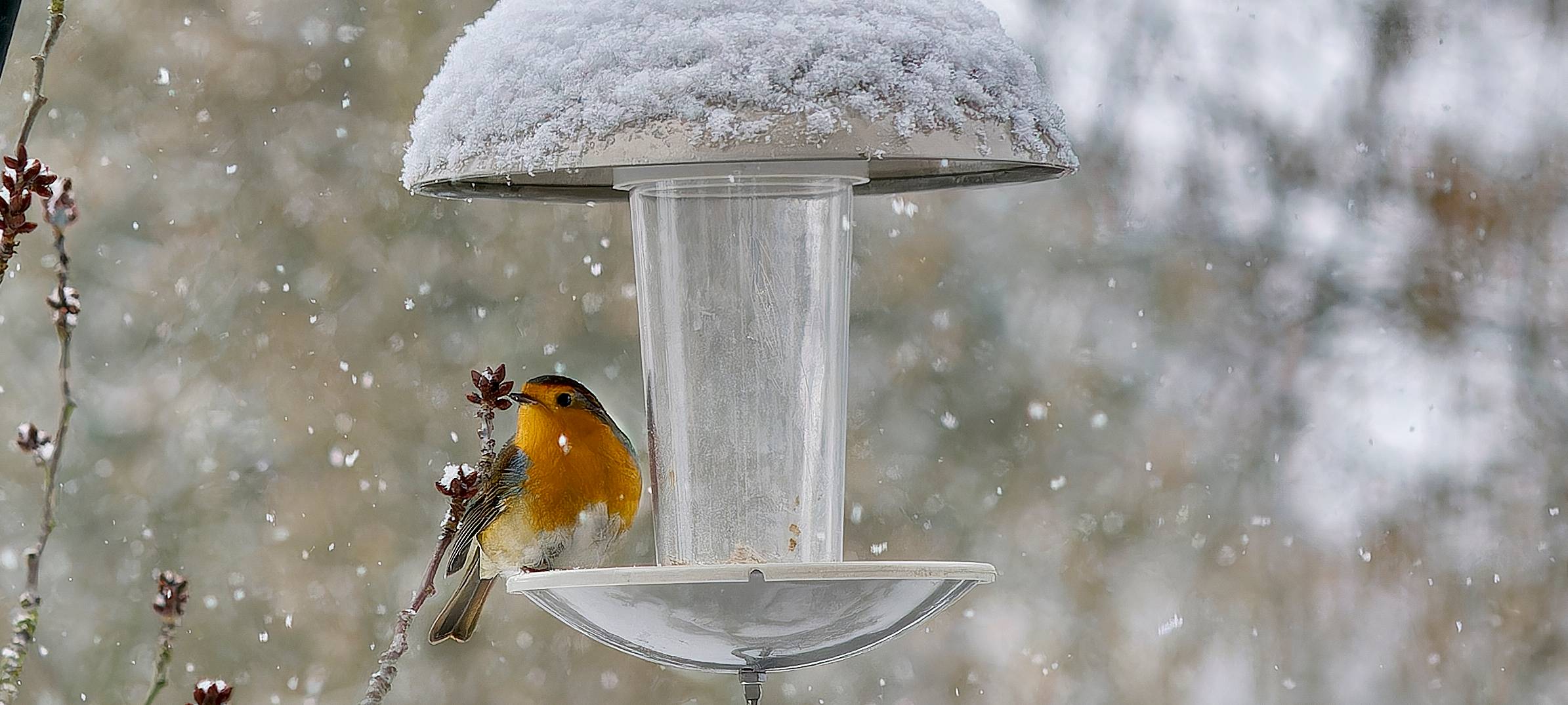 Die aktuelle Lage für Busfahrer