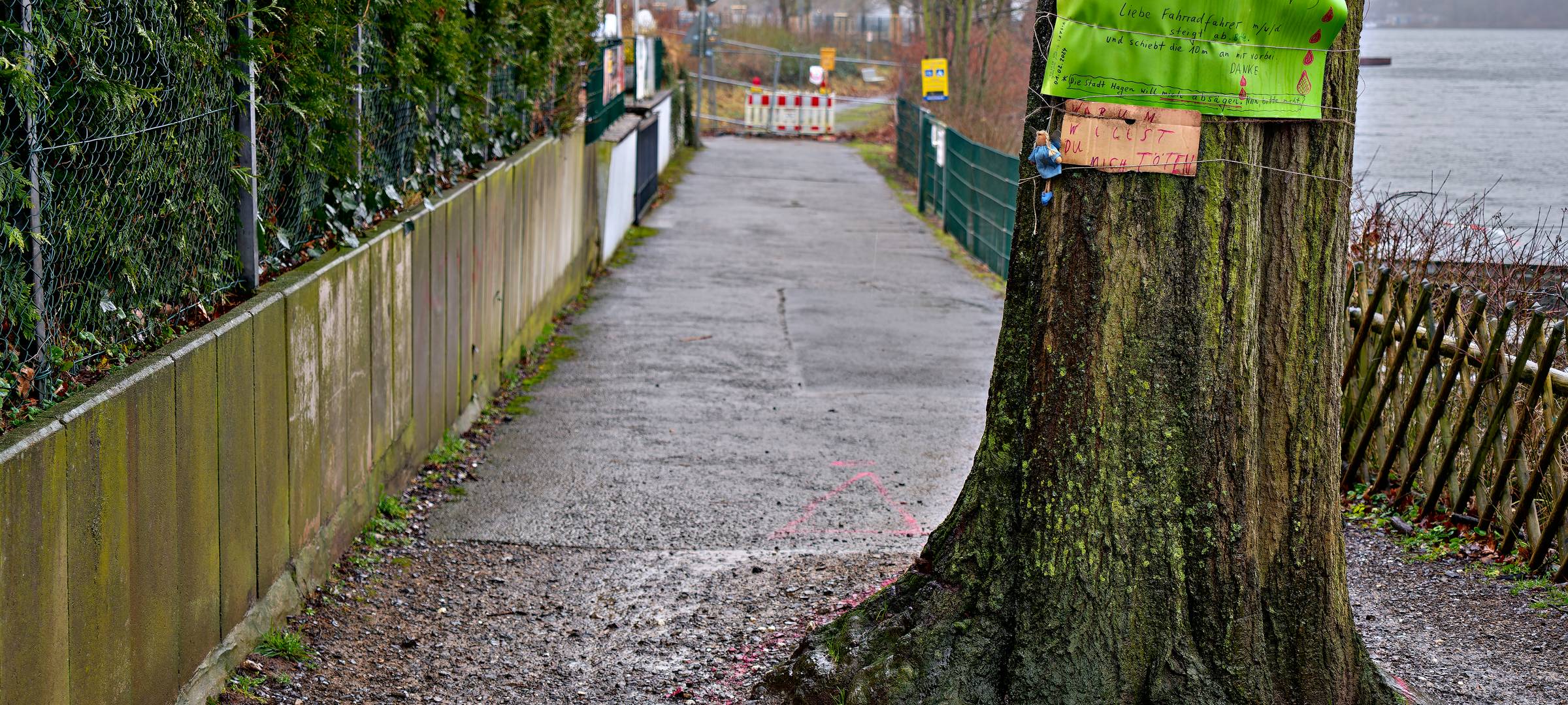 Roteiche am Hengsteysee...